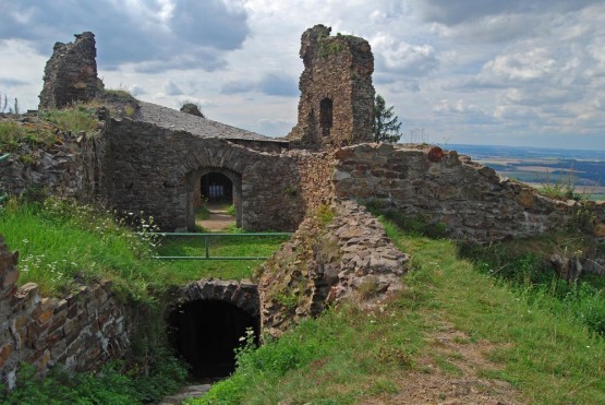 Bylinky rostoucí na Lichnici a v okolí