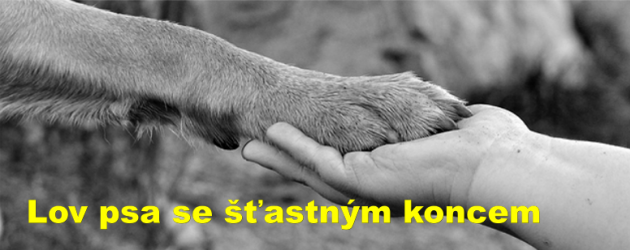 Lov psa se šťastným koncem