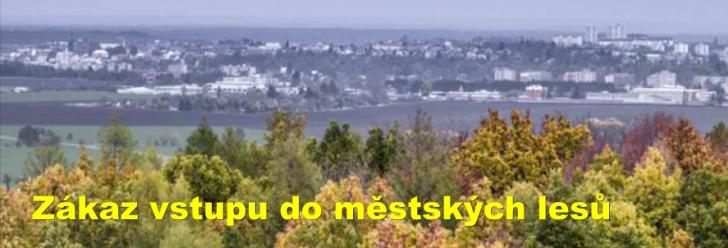 Zákaz vstupu do městských lesů