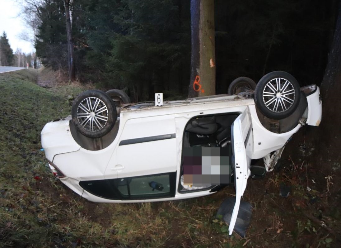 Řidič posilněný vodkou porazil několik stromů