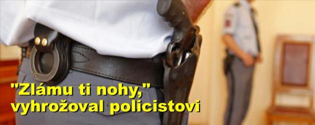 "Zlámu ti nohy," vyhrožoval policistovi