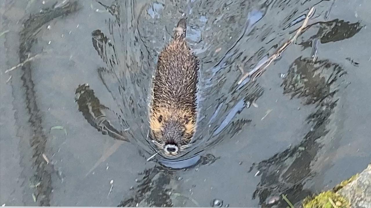 Nebezpečná látka v Chrudimce rozdělila lidi na dva tábory