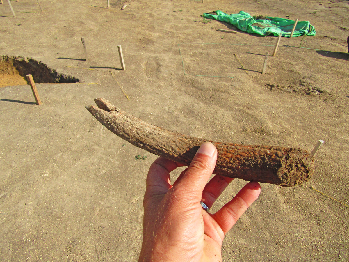 Štěstěna archeologům přála. Jan Musil mluví o výzkumu desetiletí