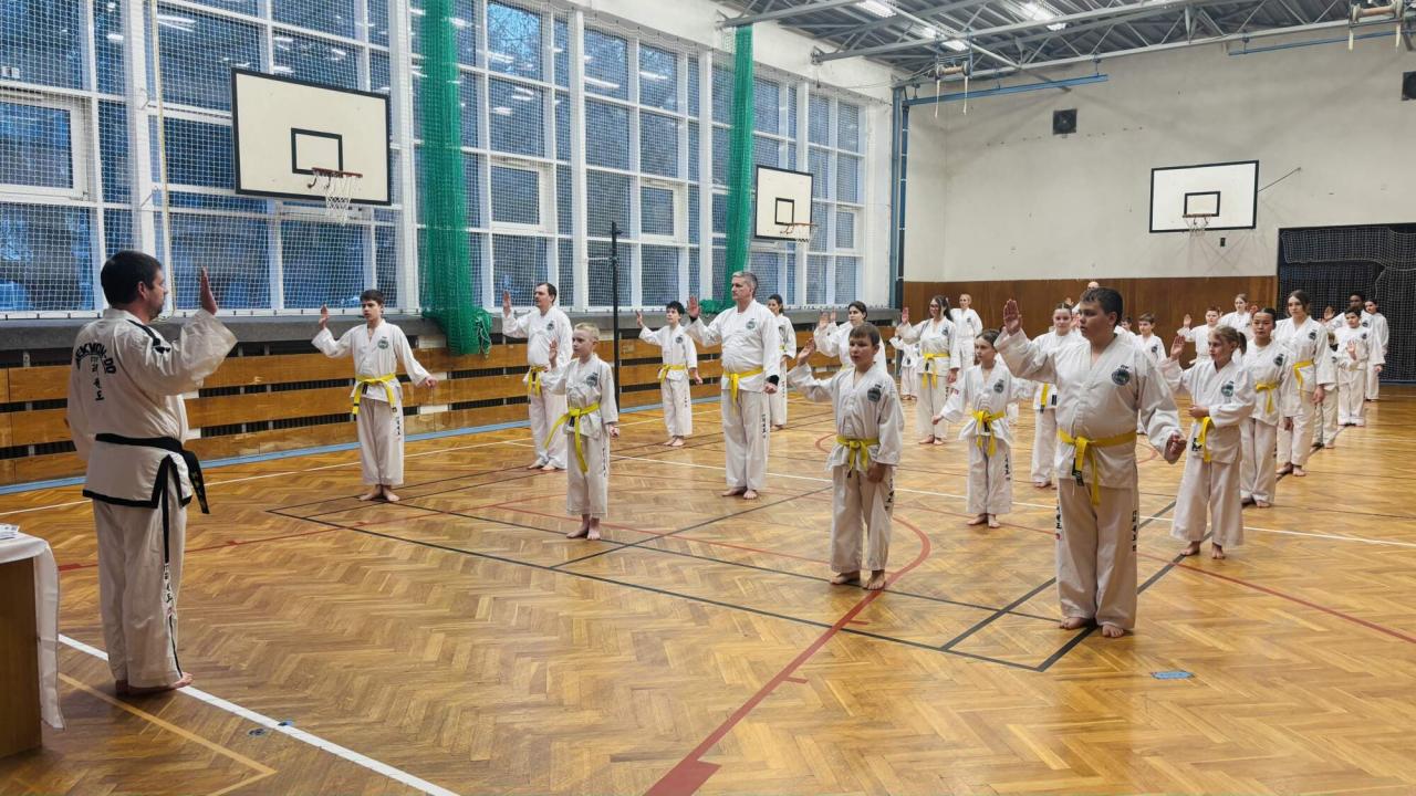 Taekwon-do ve východních Čechách: Unikátní škola působí už ve třech městech a děti i rodiče tu cvičí společně