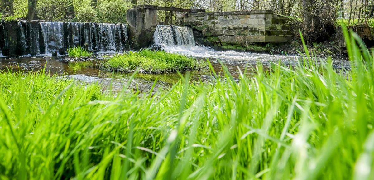 Revitalizace náhonu v Parku Střelnice uzavírá některé tamní komunikace