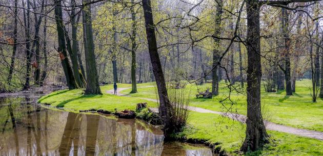 Revitaliazace náhonu v parku Střelnice by mohla začít příští rok