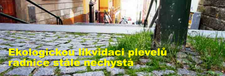 Ekologickou likvidaci plevelů radnice stále nechystá