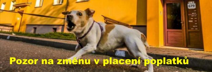 Pozor na změnu v placení poplatků za odpad a daní ze psů!