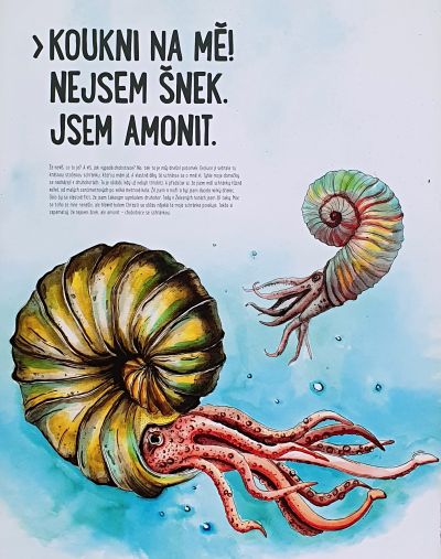 Proměněný lom za obcí Stolany
