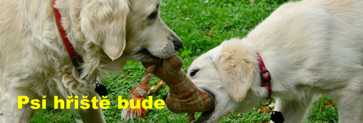 Konečně! Psí hřiště bude