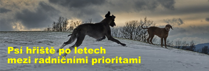 Psí hřiště po letech mezi radničními prioritami