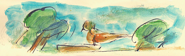 Jaroslav Koreček: Vedra