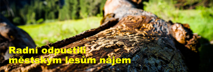 Radní odpustili městským lesům nájem