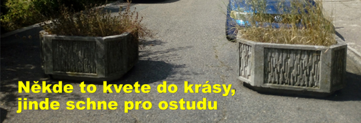 Někde to kvete do krásy, jinde schne pro ostudu