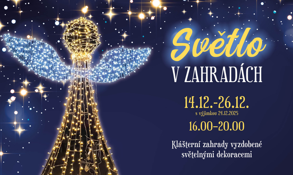 Kouzelný svět vánočních světel