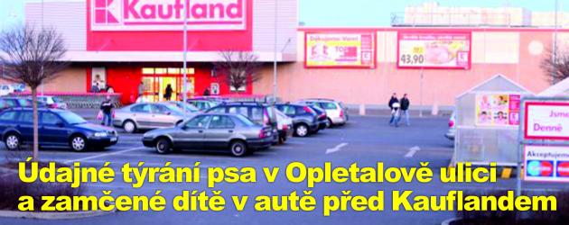 Údajné týrání psa v Opletalově ulici a zamčené dítě v autě před Kauflandem
