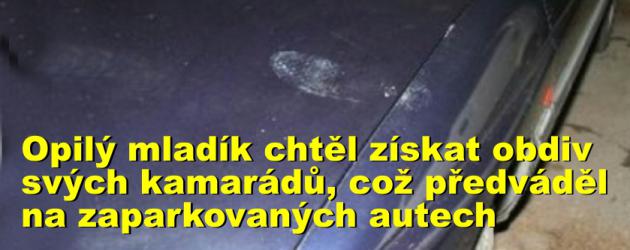 Opilý mladík chtěl získat obdiv svých kamarádů, svou sílu si dokazoval na zaparkovaných autech, za jejich poškození mu hrozí až jednoletý pobyt za mřížemi
