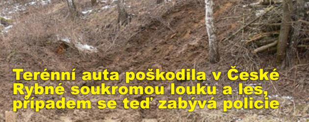 Terénní auta poškodila v České Rybné soukromou louku a les, případem se teď zabývá policie