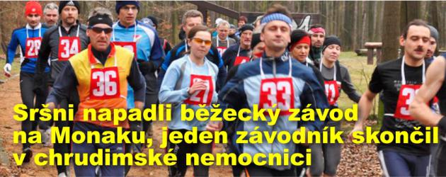 Sršni napadli běžecký závod na Monaku, jeden závodník skončil v chrudimské nemocnici