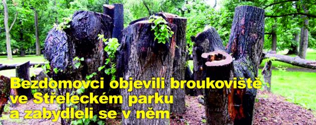 Bezdomovci objevili broukoviště ve Střeleckém parku a zabydleli se v něm