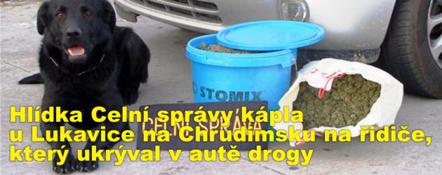 Hlídka Celní správy kápla u Lukavice na Chrudimsku na řidiče, který ukrýval v autě drogy