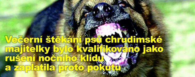 Večerní štěkání psů chrudimské majitelky bylo kvalifikováno jako rušení nočního klidu a zaplatila proto pokutu