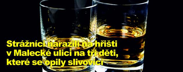 Strážníci narazili na hřišti v Malecké ulici na tři děti, které se opily slivovicí