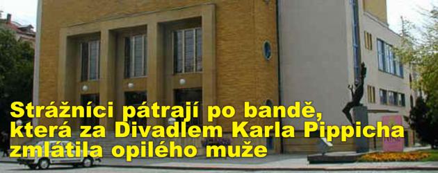Strážníci pátrají po bandě, která za Divadlem Karla Pippicha zmlátila opilého muže