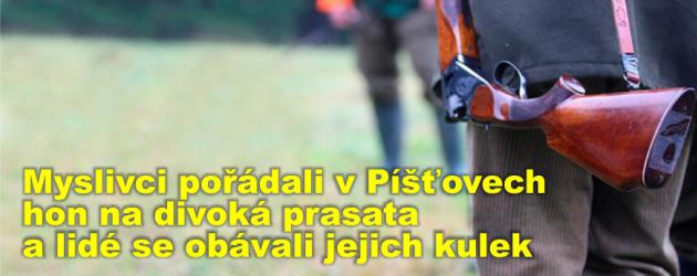 Myslivci pořádali v Píšťovech hon na divoká prasata a lidé se obávali jejich kulek 
