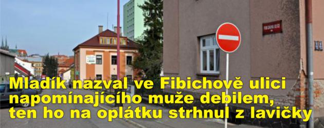 Mladík nazval ve Fibichově ulici napomínajícího muže debilem, ten ho na oplátku strhnul z lavičky