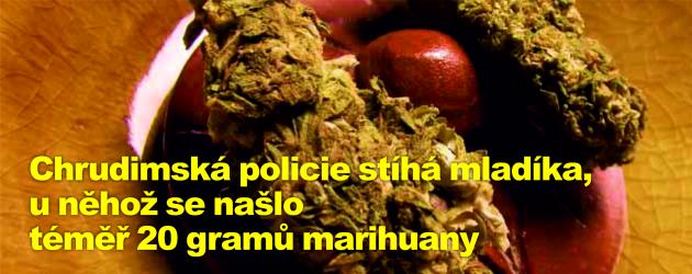 Chrudimská policie stíhá mladíka, u něhož se našlo téměř 20 gramů marihuany