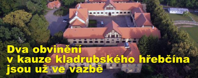 Dva obvinění v kauze kladrubského hřebčína jsou už ve vazbě, o dalších pěti obviněných se rozhoduje