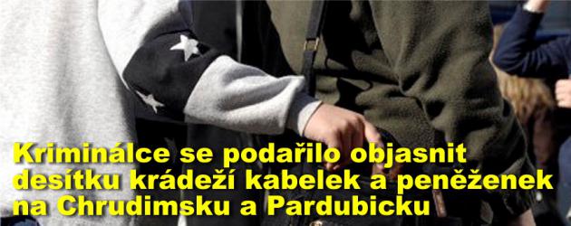 Kriminálce se podařilo objasnit desítku krádeží kabelek a peněženek na Chrudimsku a Pardubicku