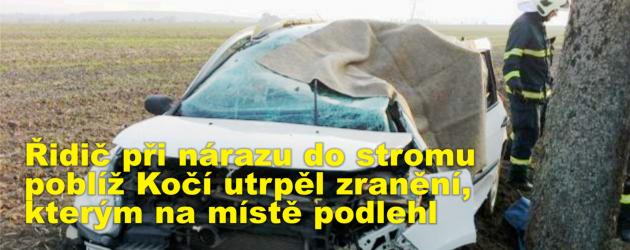 Řidič při nárazu do stromu poblíž Kočí utrpěl zranění, kterým na místě podlehl