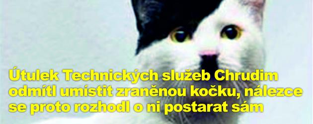 Útulek Technických služeb Chrudim odmítl umístit zraněnou kočku, nálezce se proto rozhodl o ni postarat sám