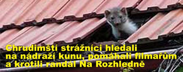 Chrudimští strážníci hledali na nádraží zraněnou kunu, pomáhali filmařům a krotili noční randál Na Rozhledně