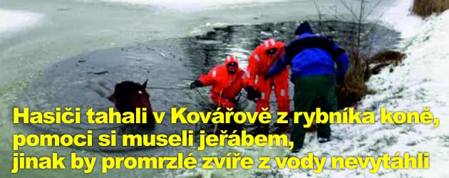Hasiči tahali v Kovářově z rybníka koně, pomoci si museli jeřábem, jinak by promrzlé zvíře z vody nevytáhli