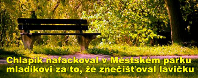 Chlapík nafackoval v Městském parku mladíkovi za to, že znečišťoval lavičku