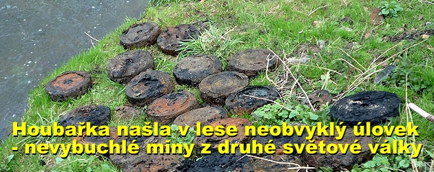 Houbařka našla v lese neobvyklý úlovek - nevybuchlé miny z druhé světové války 