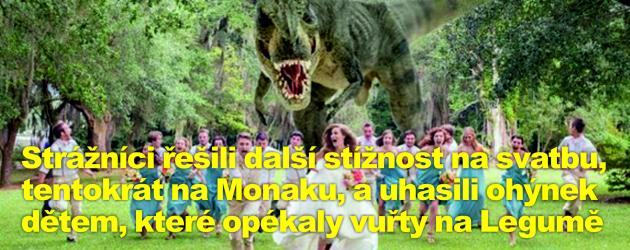 Strážníci řešili další stížnost na svatbu, tentokrát na Monaku, a uhasili ohýnek dětem, které opékaly vuřty na Legumě