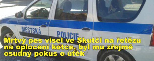 Mrtvý pes visel ve Skutči na řetězu na oplocení kotce, byl mu zřejmě osudný pokus o útěk