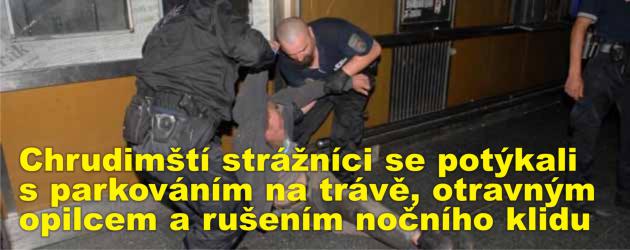 Chrudimští strážníci se potýkali s parkováním na trávě, otravným opilcem nebo rušením nočního klidu