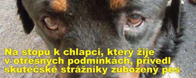 Na stopu k chlapci, který žije v otřesných podmínkách, přivedl skutečské strážníky nelezený zubožený pes