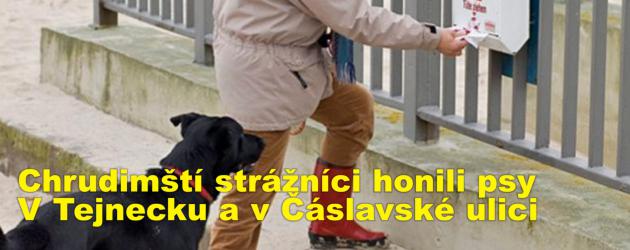 Chrudimští strážníci honili psy V Tejnecku a v Čáslavské ulici