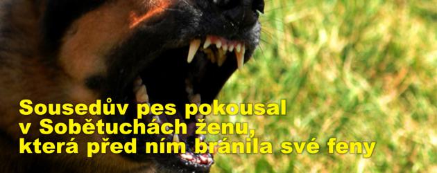 Sousedův pes pokousal v Sobětuchách ženu, která před ním bránila své feny