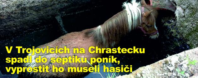 V Trojovicích na Chrastecku spadl do septiku poník, vyprostit ho museli hasiči