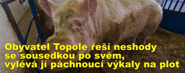 Obyvatel Topole řeší neshody se sousedkou po svém, vylévá jí páchnoucí výkaly na plot