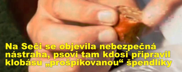 Na Seči se objevila nebezpečná nástraha, psovi tam kdosi připravil klobásu „prošpikovanou“ špendlíky