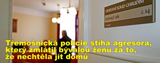 Třemošnická policie stíhá agresora, který zmlátil bývalou ženu za to, že nechtěla jít domů