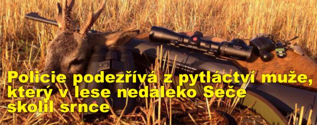 Policie podezřívá z pytláctví muže, který v lese nedaleko Seče skolil srnce